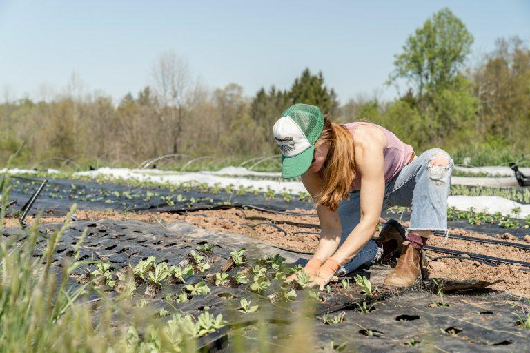 Secteur agricole : relèvement du plafond TO-DE !