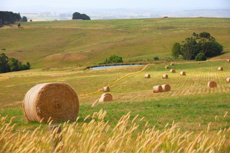 Agriculteurs : nouvel indice national des fermages 2024 & chiffres clés